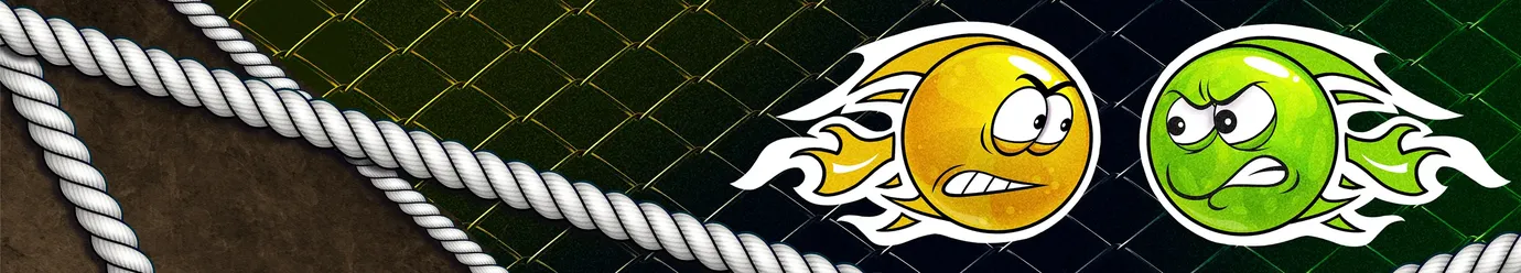 لیگ بین المللی MMA